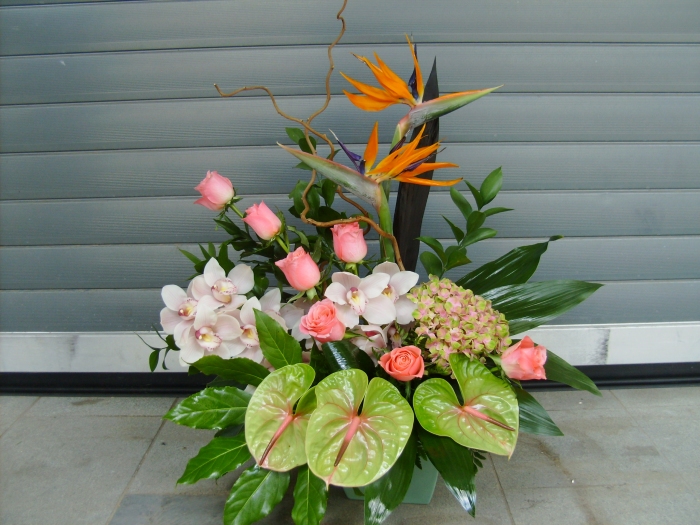 Aranjament Floral In Vas Hortensia Strelitzia Orhidee Anthurium