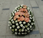 Coroana Crizanteme albe, Anthurium maro