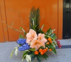 Aranjament Floral in Vas Amaryllis, Zambile, Cale