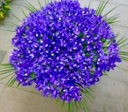 Buchet iris mov, mare