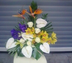 Aranjament floral in vas Orhidee, Anthurium, Strelitzia