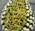Coroana Trandafiri albi, Orhidee