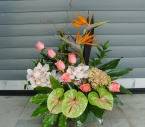 Aranjament floral in vas Hortensia, Strelitzia, Orhidee, Anthurium