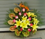 Cos Trandafiri, Strelitzia, Crini, Anthurium