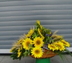 Cos Helianthus, Santini, Spice grau