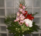 Buchet Orhidee Cymbidium, Hortensia, Bungavilea