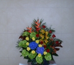 Cos Heliconia, Anthurium, Orhidee, Hypericum, Trandafiri, Hortensia