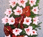 Jerba Amaryllis, Anthurium