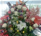 Cos Strelitzia, Trandafiri, Orhidee