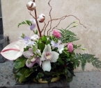 Aranjament Floral in Vas Bumbac, Frezii, Lisianthus