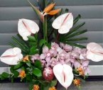 Aranjament Floral in Vas Anthurium, Orhidee, Strelitzia