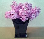 Buchet zambile roz
