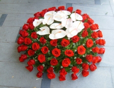 Coroana Trandafiri rosii, Anthurium alb
