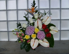 Aranjament in vas Hortensia, Strelitzia, Anthurium, Trandafiri