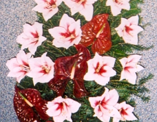 Jerba Amaryllis, Anthurium