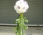 imagine 1 lumanare botez, hortensia, lisianthus 217