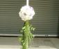 imagine 2 lumanare botez, hortensia, lisianthus 217