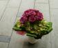 imagine 3 buchet hortensia multicolora, trandafiri  245