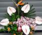 imagine 1 aranjament floral in vas anthurium, orhidee, strelitzia 60