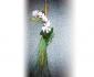 imagine 4 lumanare botez orhidee phalaenopsis 84